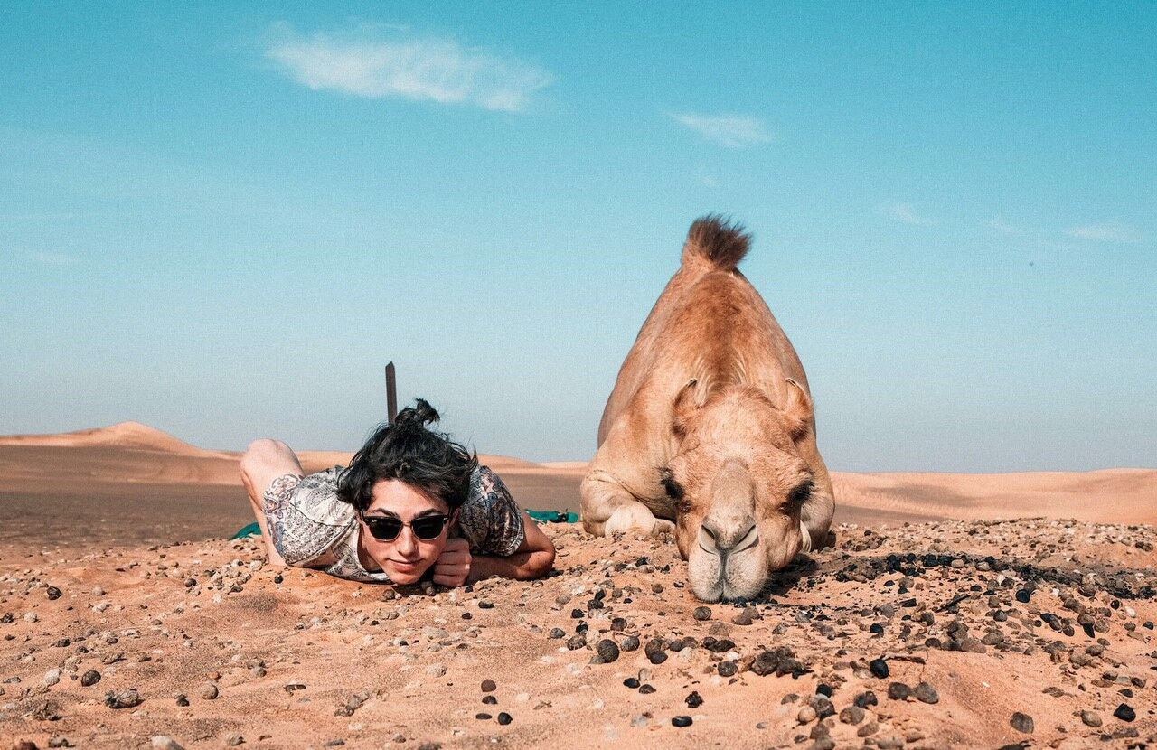 Curate your best travel dream responsibly.